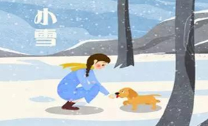 安氏亞森板材：小雪丨花開(kāi)天下暖，葉落天下寒